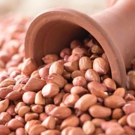 Maní boliviano – Variedad Runner